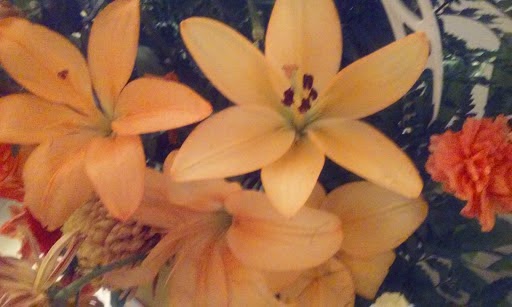 Funeral Home «David Russell Funeral Home and Cremation», reviews and photos, 2005 Bartow Rd, Lakeland, FL 33801, USA