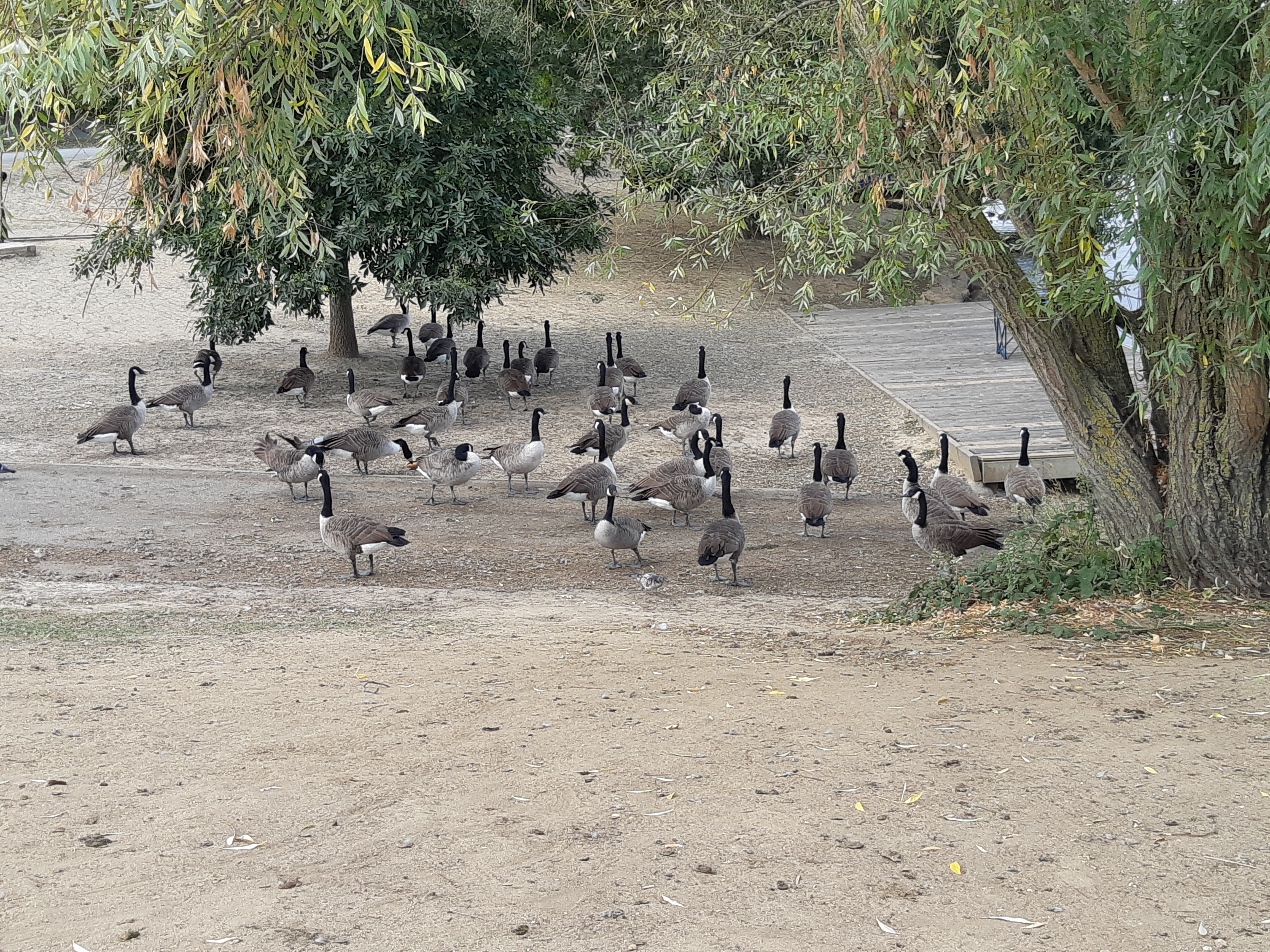 Photo n° 1 de l'avis de Yann.e fait le 22/09/2019 à 10:01