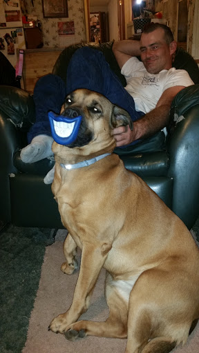 Pet Supply Store «Countryside Pet Supply», reviews and photos, 2813 US-160, West Plains, MO 65775, USA