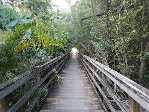 The Key West Nature Preserve - photo 1