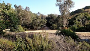 Higginbotham Park - photo 2