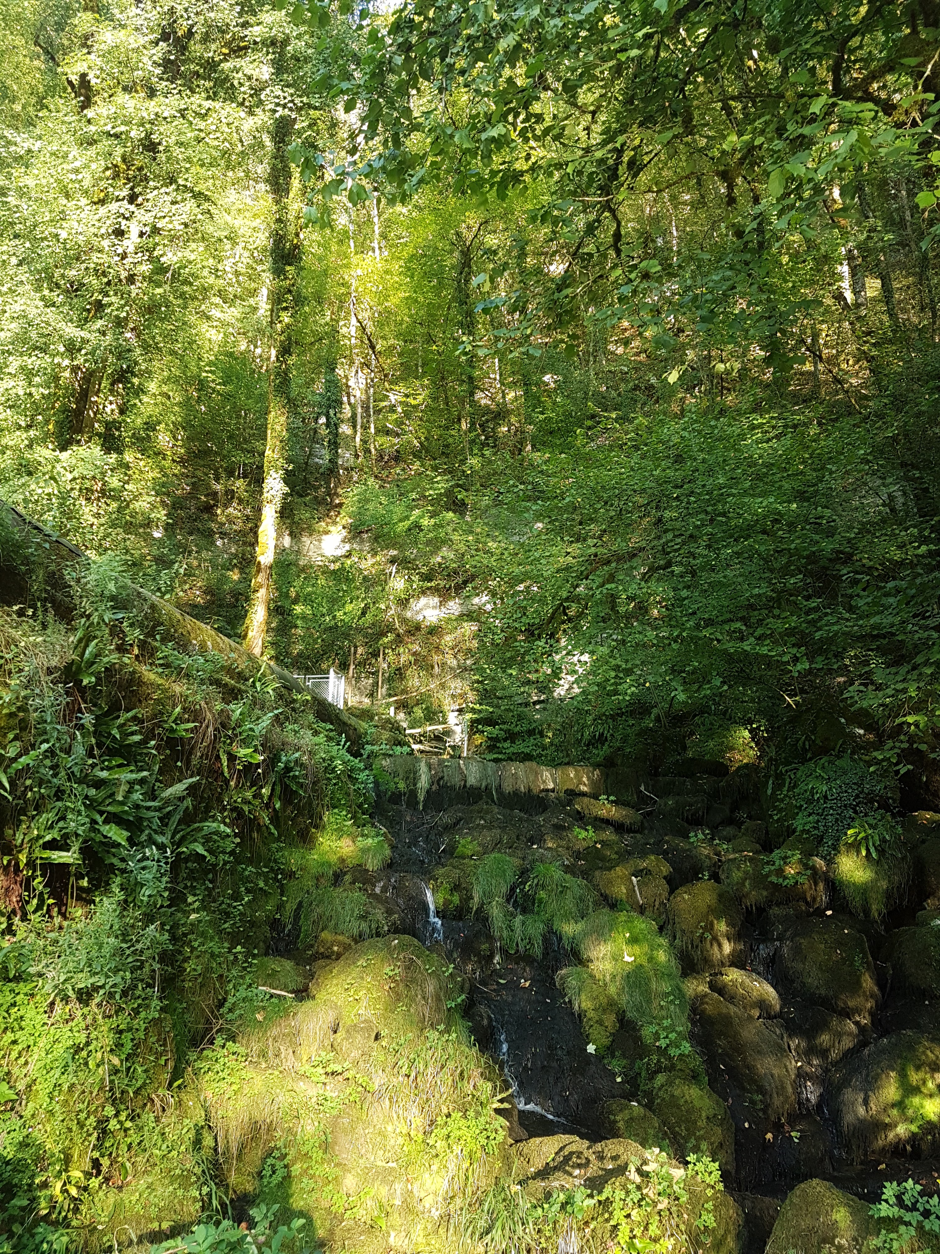 Photo n° 14 de l'avis de Stéphane.a fait le 19/08/2018 à 18:55