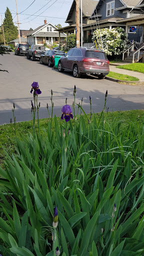 Park «Overlook Park», reviews and photos, 1599 N Fremont St, Portland, OR 97227, USA