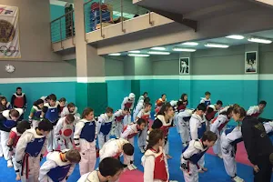 Αθλητικός Σύλλογος Taekwondo ΑΘΛΟΦΟΡΟΣ image
