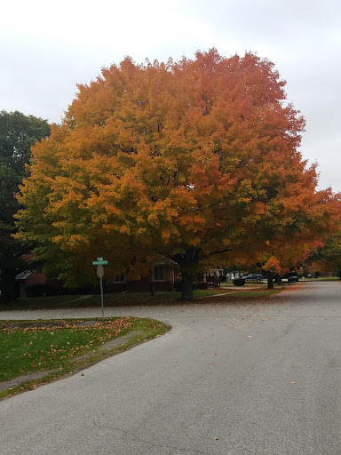 Country Club «Western Golf & Country Club», reviews and photos, 14600 Kinloch, Redford Charter Twp, MI 48239, USA