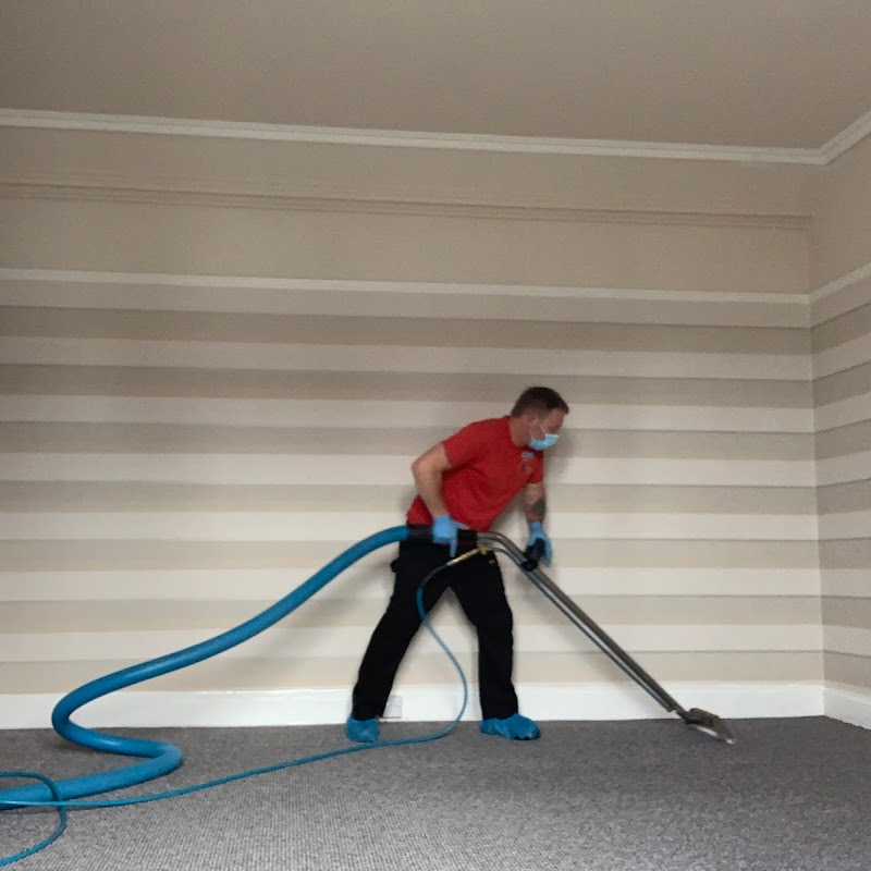 The Carpet Cleaner Man