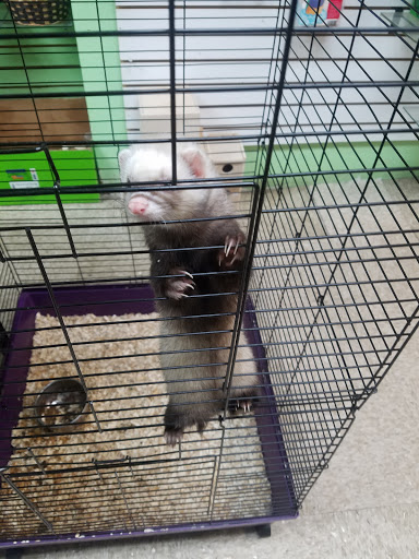 Tropical Fish Store «Caribbean Pets», reviews and photos, 298 Central Ave, Jersey City, NJ 07307, USA