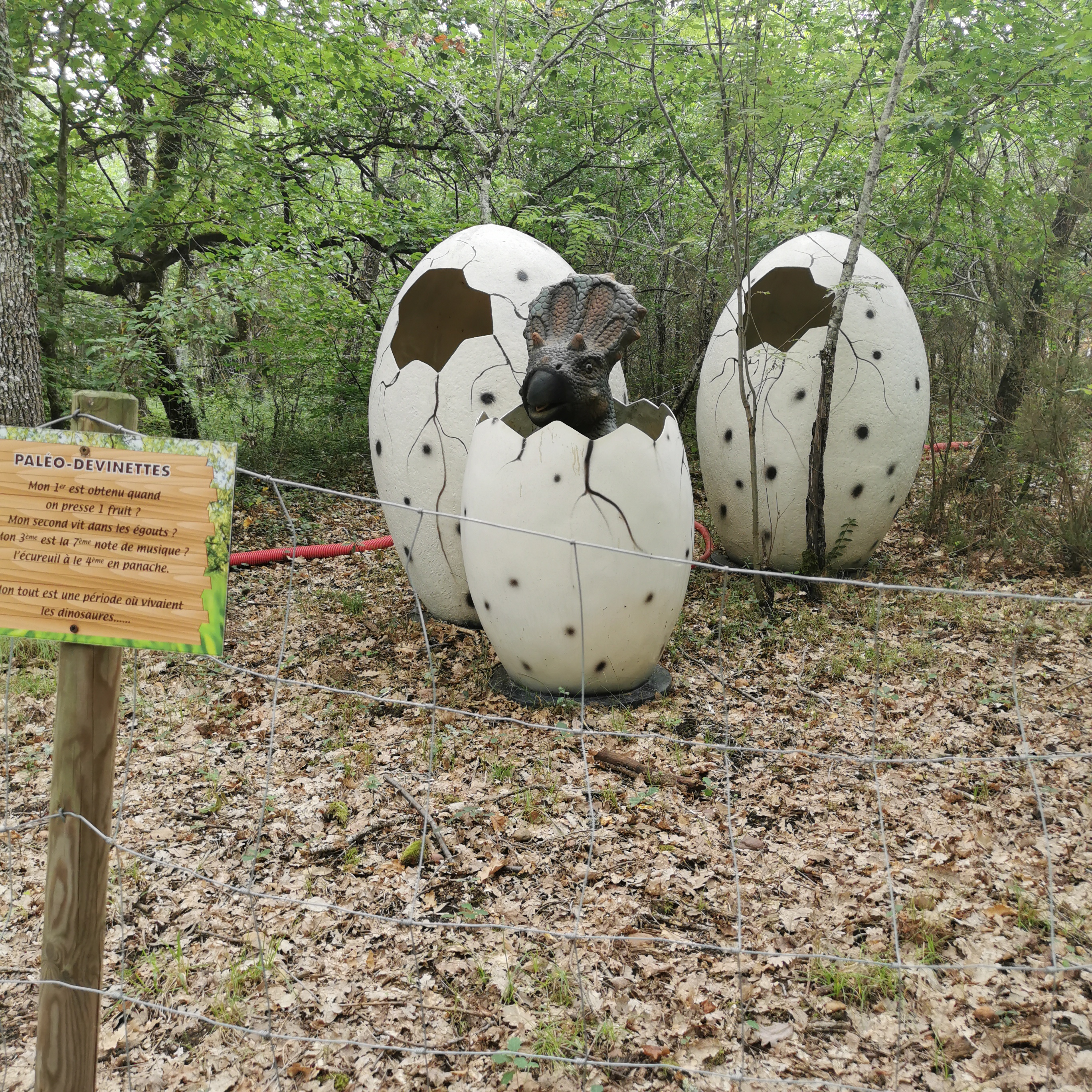 Photo n° 3 de l'avis de Ingrid.. fait le 06/08/2021 à 18:29