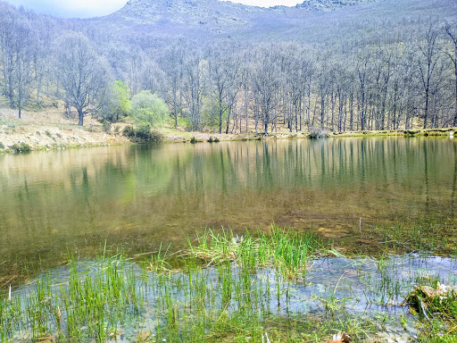 Estanque Natural de El Cardoso., Escuela en Torrelaguna,Madrid