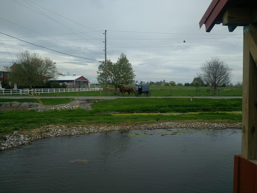 Golf Course «Waters Edge Mini Golf», reviews and photos, 230 N Ronks Rd, Bird in Hand, PA 17505, USA