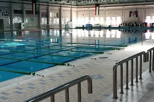 Swimming pool complex. image