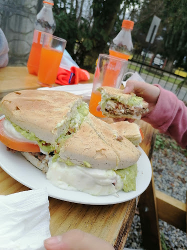 Fusion Sandwich - Villarrica