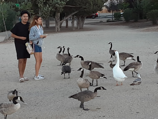 Nature Preserve «Virginia Lake», reviews and photos, 1980 Lakeside Dr, Reno, NV 89509, USA