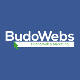 BudoWebs Studio Chile