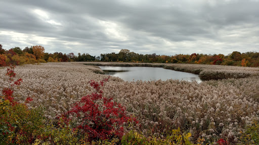 Park «Highland Park», reviews and photos, Interboro Pkwy, Brooklyn, NY 11208, USA