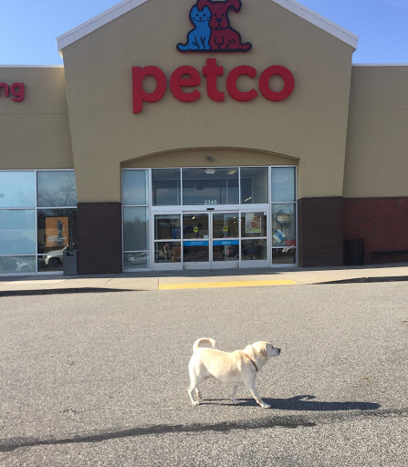 Pet Supply Store «Petco Animal Supplies», reviews and photos, 2345 Market Pl Blvd, Cumming, GA 30041, USA