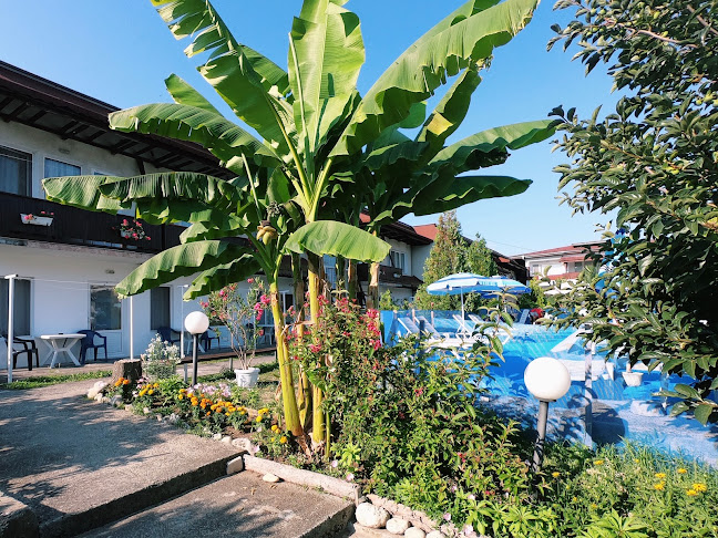 http://panoramatsarevo.com/