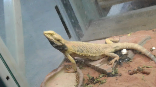 Pet Supply Store «Pet Club Santa Rosa», reviews and photos, 1935 Santa Rosa Ave, Santa Rosa, CA 95407, USA