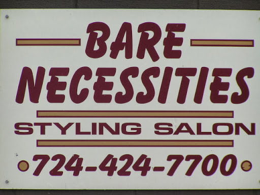 Hair «Bare Necessities Styling Salon», reviews and photos, 108 Freeman Falls Rd, Acme, PA 15610, USA