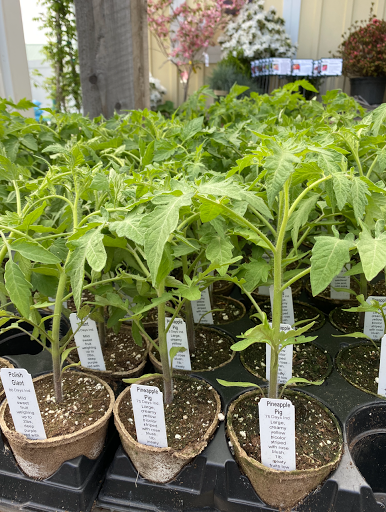 Farm «Dreyer Farms», reviews and photos, 831 Springfield Ave, Cranford, NJ 07016, USA