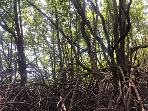 Top 20 cửa hàng play Huyện Cần Giờ Hồ Chí Minh 2022