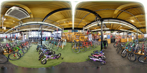 Bicycle Store «Outdoor Sports Center», reviews and photos, 80 Danbury Rd, Wilton, CT 06897, USA