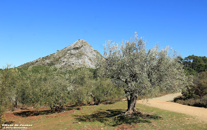 Zona de senderismo – Puerto Marbella – Ojén