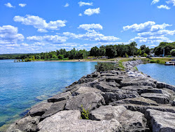 David Johnston Park photo #6