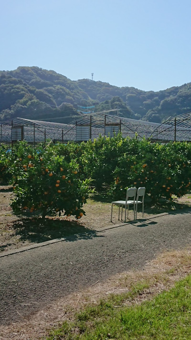 スガイ農園