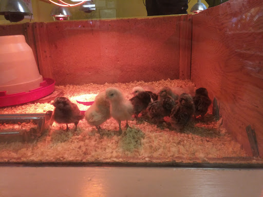 Animal Feed Store «Burns Feed Store», reviews and photos, 29215 SE Orient Dr, Gresham, OR 97080, USA