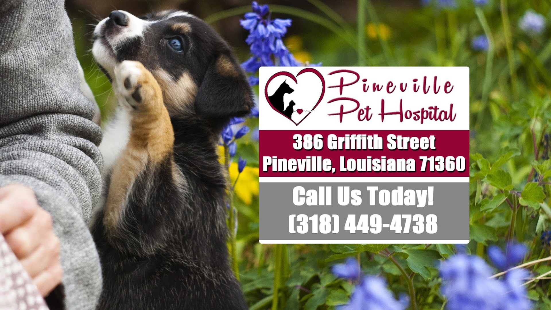 Pineville Pet Hospital