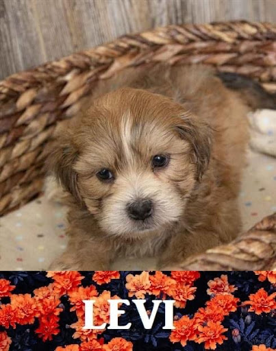 Pet Store «Pet Express», reviews and photos, 100 Independence Way, Danvers, MA 01923, USA