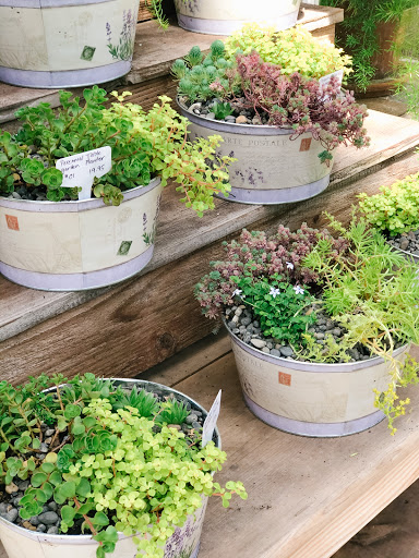 Hardware Store «Economy Supply of Lebanon», reviews and photos, 1055 Tangent St, Lebanon, OR 97355, USA