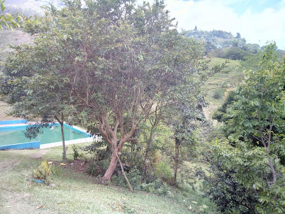 Choripan Y Algo Mas - Jamundí, Valle del Cauca, Colombia