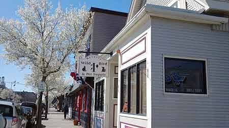 Pet Supply Store «Beverly Wild Bird & Pet Supply», reviews and photos, 214 Rantoul St, Beverly, MA 01915, USA