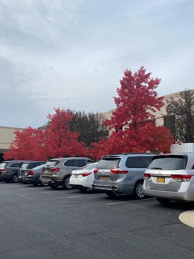 Shopping Mall «Dulles Town Center», reviews and photos, 21100 Dulles Town Cir, Sterling, VA 20166, USA