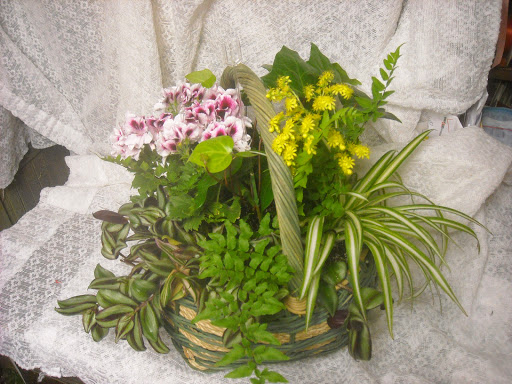 Florist «Ames Greenhouse», reviews and photos, 3011 S Duff Ave, Ames, IA 50010, USA