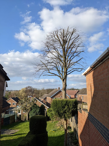 Weedons Tree Surgery & Garden Maintenance - Nottingham