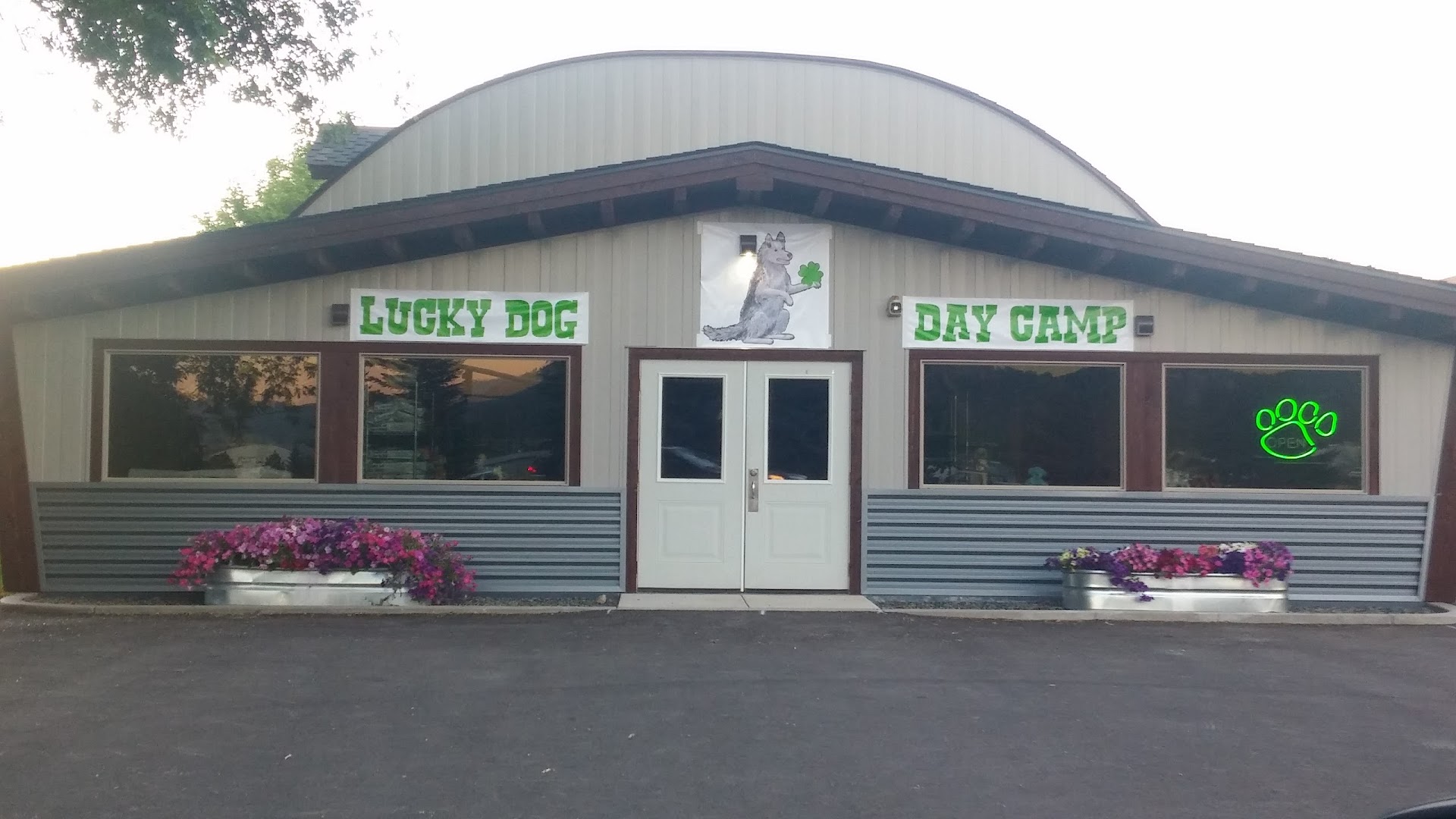 Lucky Dog Day Camp
