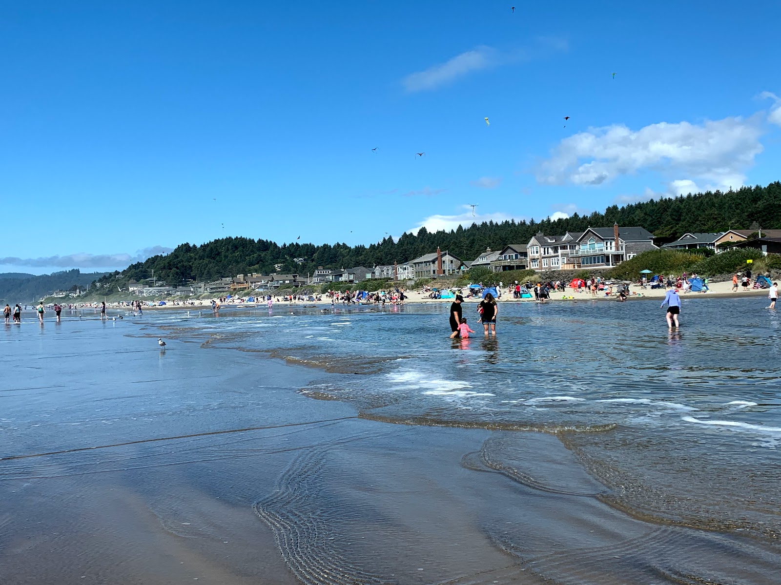 Photo de Plage de Cannon zone des équipements