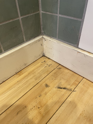 House Cleaning Service «MOLLY MAID of Arvada», reviews and photos, 5005 W 81st Pl #100, Westminster, CO 80031, USA