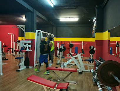 GIMNASIO COLISEUM FIGHT CLUB