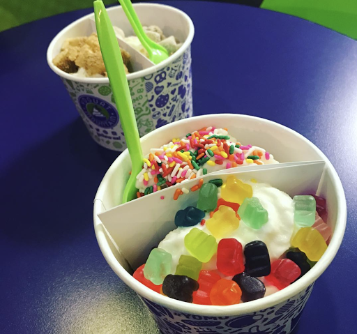 Frozen Yogurt Shop «Yogurt Mountain», reviews and photos, 1801 W Tennessee St #2, Tallahassee, FL 32304, USA