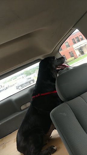 3100 E Main St #1, Endwell, NY 13760, USA