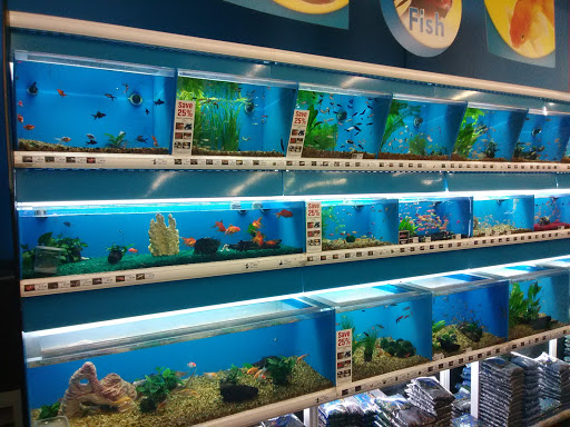 Pet Supply Store «Pet Supermarket», reviews and photos, 2649 E Gulf to Lake Hwy, Inverness, FL 34452, USA