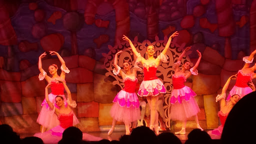 Performing Arts Theater «The Township Community Master Association Inc», reviews and photos, 2452 Lyons Rd, Pompano Beach, FL 33063, USA