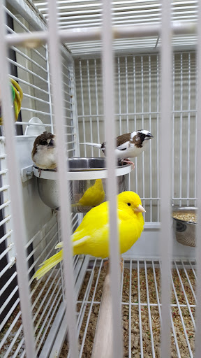 Pet Supply Store «Pet Supplies Plus», reviews and photos, 135-25 79th St, Howard Beach, NY 11414, USA