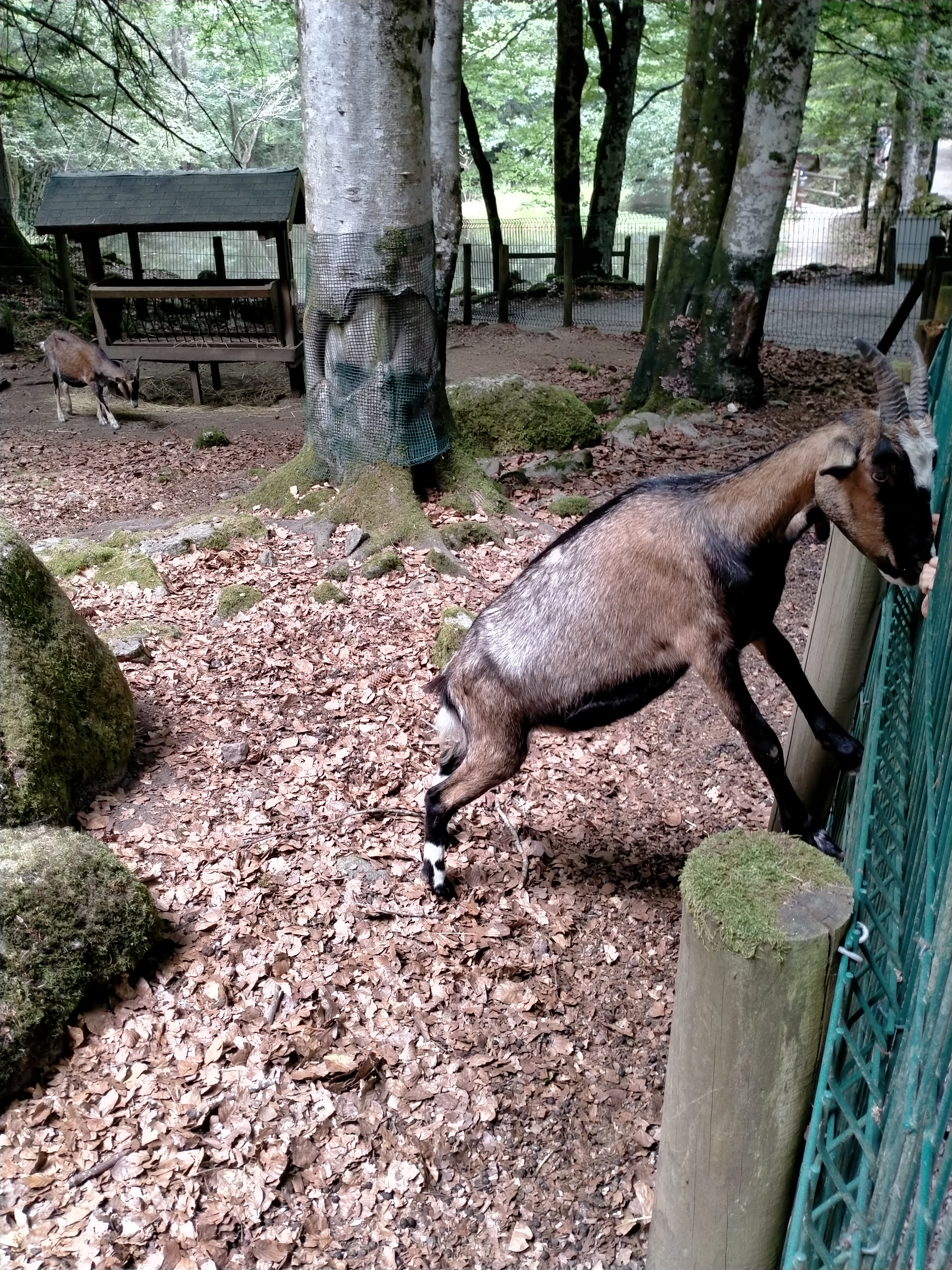 Photo n° 4 de l'avis de sebastien.a fait le 20/07/2022 à 13:52