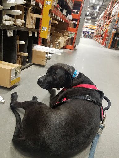 Home Improvement Store «The Home Depot», reviews and photos, 1570 U.S. 9, Wappingers Falls, NY 12590, USA