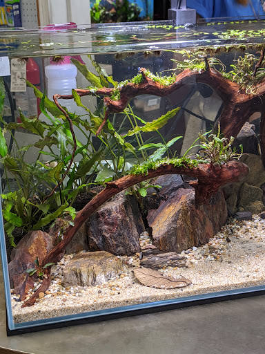Pet Supply Store «Wet Spot Tropical Fish», reviews and photos, 4310 NE Hancock St, Portland, OR 97213, USA